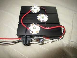 Module LED Crocea